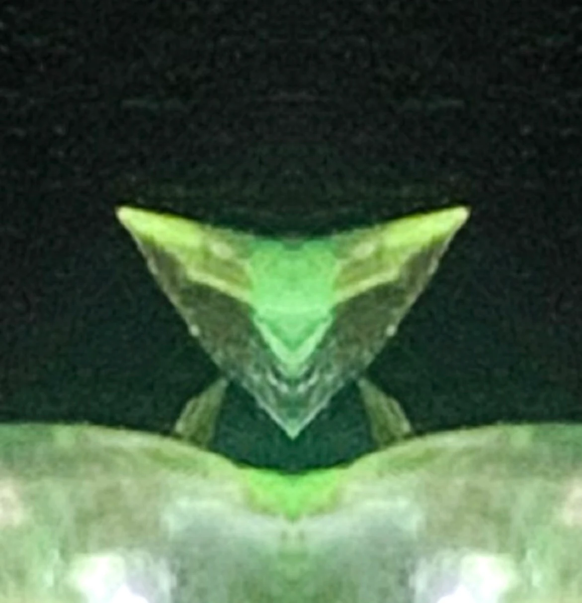 Not görseli